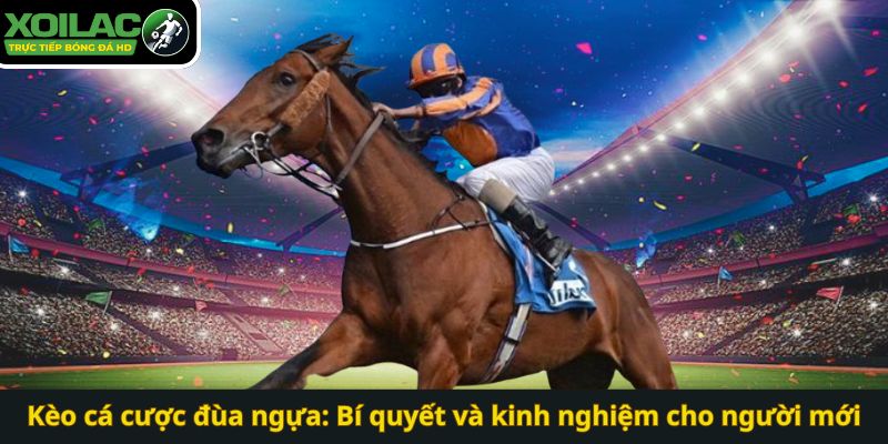 Kèo cá cược đua ngựa: Bí quyết và kinh nghiệm cho người mới