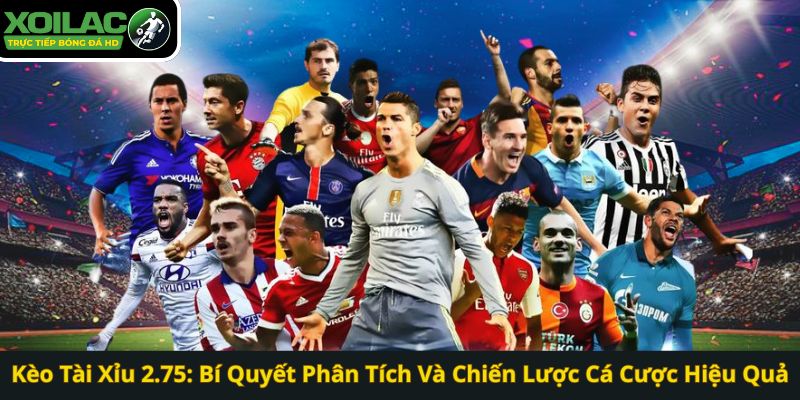 Kèo Tài Xỉu 2.75: Bí Quyết Phân Tích Và Chiến Lược Cá Cược Hiệu Quả