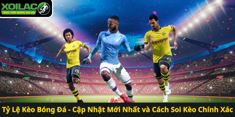 Tỷ Lệ Kèo Bóng Đá - Cập Nhật Mới Nhất và Cách Soi Kèo Chính Xác